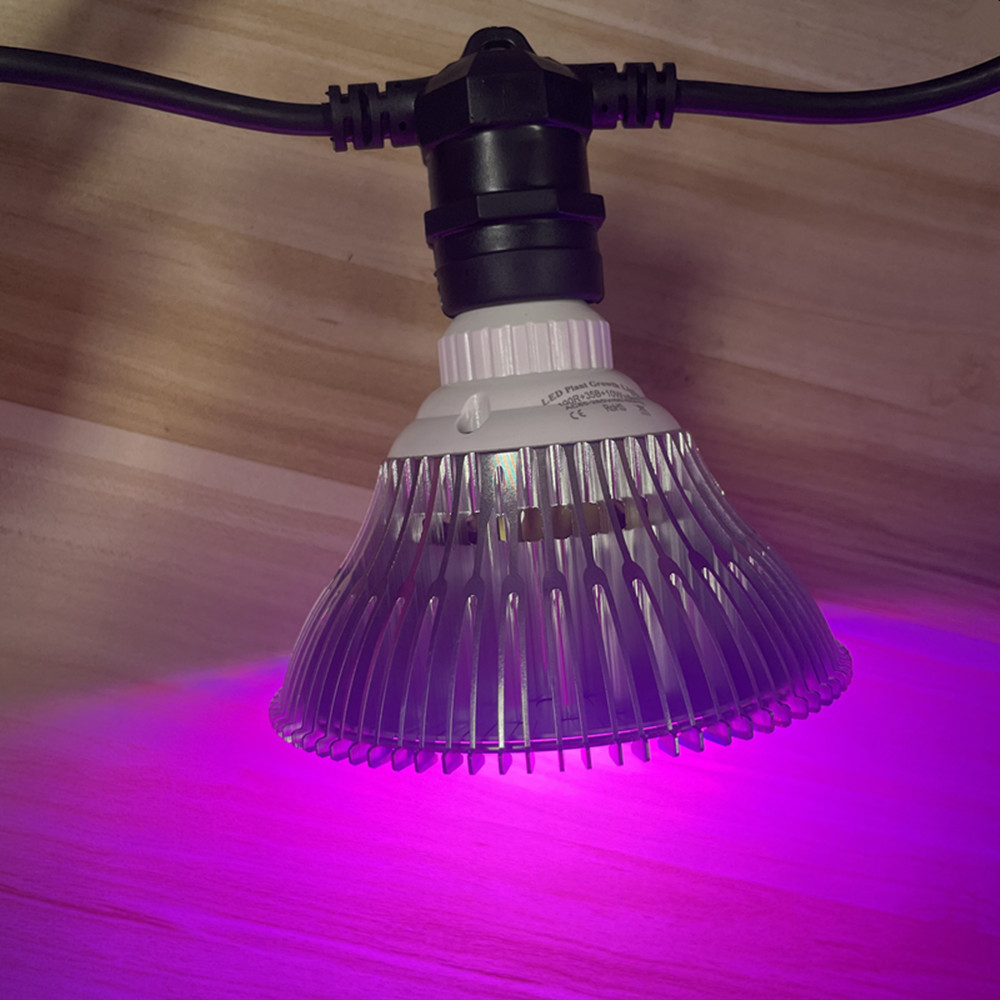 10M Kablo LED Dize Işık Zincir - Outdoor Power Socket incelemesi ve fiyatı